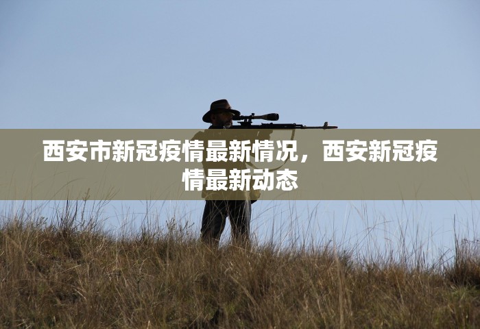 西安市新冠疫情最新情况，西安新冠疫情最新动态