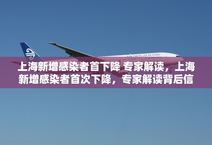 上海新增感染者首下降 专家解读，上海新增感染者首次下降，专家解读背后信号