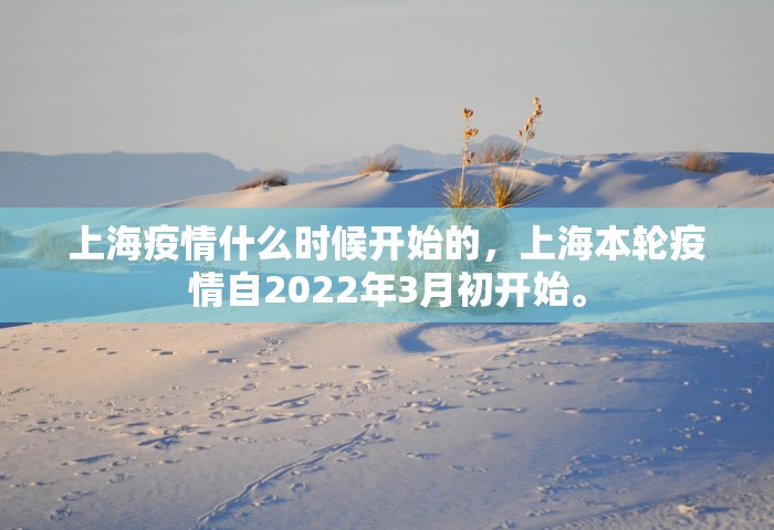 上海疫情什么时候开始的，上海本轮疫情自2022年3月初开始	。