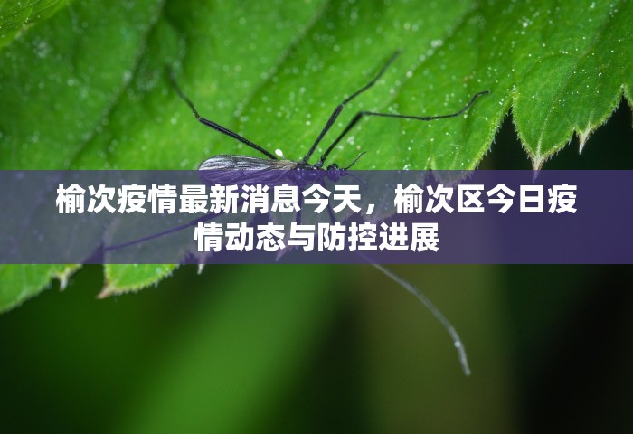 榆次疫情最新消息今天	，榆次区今日疫情动态与防控进展
