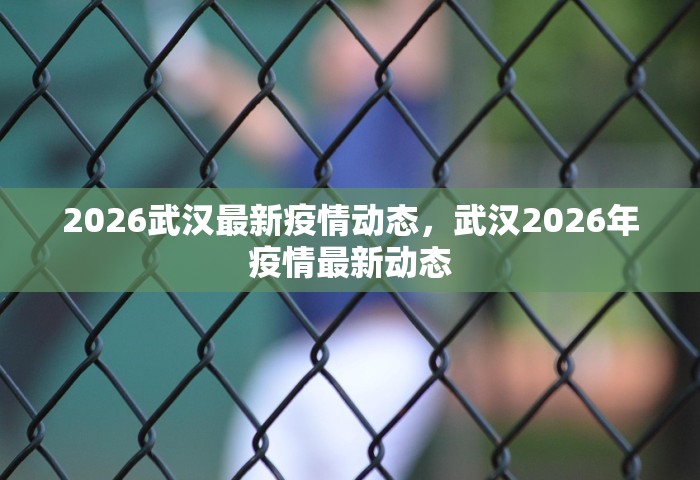 2026武汉最新疫情动态，武汉2026年疫情最新动态