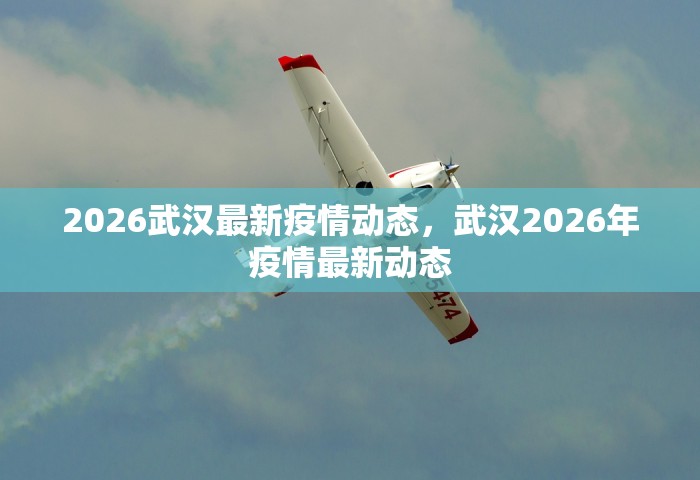2026武汉最新疫情动态，武汉2026年疫情最新动态