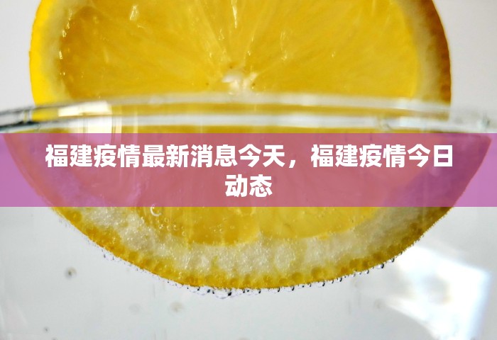 福建疫情最新消息今天	，福建疫情今日动态