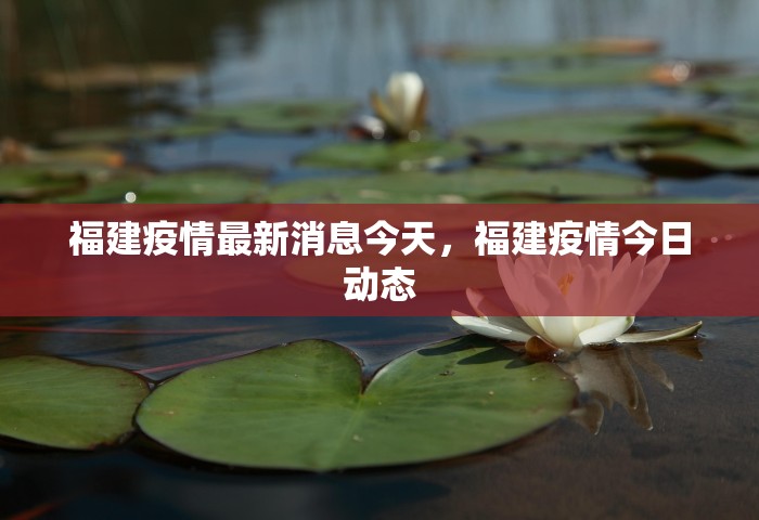 福建疫情最新消息今天，福建疫情今日动态