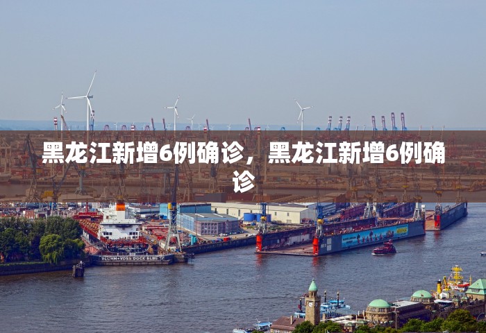 黑龙江新增6例确诊，黑龙江新增6例确诊