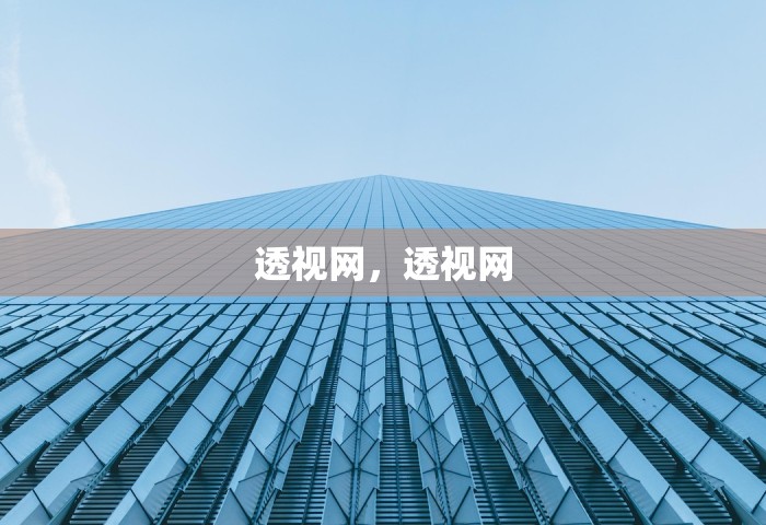 透视网，透视网