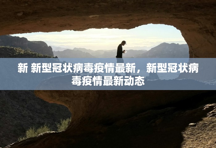 新 新型冠状病毒疫情最新，新型冠状病毒疫情最新动态